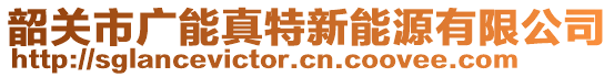 韶關(guān)市廣能真特新能源有限公司