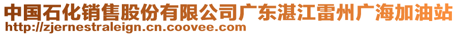 中國石化銷售股份有限公司廣東湛江雷州廣海加油站