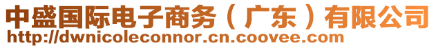 中盛國(guó)際電子商務(wù)（廣東）有限公司