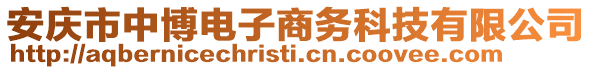 安慶市中博電子商務科技有限公司