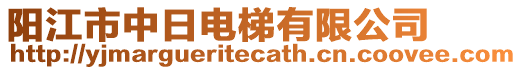 陽江市中日電梯有限公司