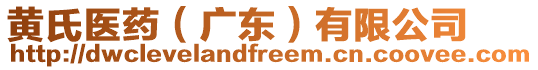 黃氏醫(yī)藥（廣東）有限公司