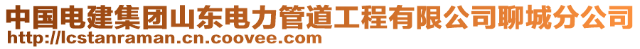 中國(guó)電建集團(tuán)山東電力管道工程有限公司聊城分公司