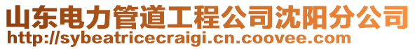 山東電力管道工程公司沈陽分公司