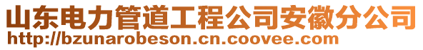 山東電力管道工程公司安徽分公司