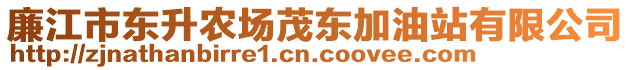 廉江市東升農(nóng)場茂東加油站有限公司