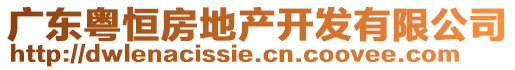 廣東粵恒房地產(chǎn)開發(fā)有限公司