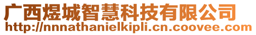 廣西煜城智慧科技有限公司