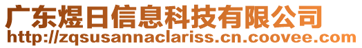 廣東煜日信息科技有限公司