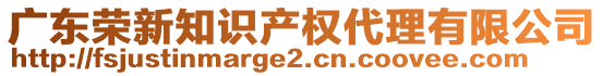 廣東榮新知識產權代理有限公司