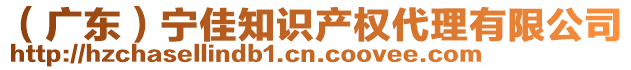 （廣東）寧佳知識產(chǎn)權(quán)代理有限公司