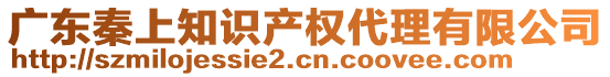 廣東秦上知識產(chǎn)權(quán)代理有限公司