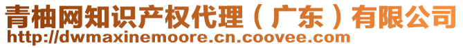 青柚網知識產權代理（廣東）有限公司