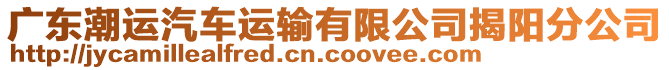 廣東潮運(yùn)汽車運(yùn)輸有限公司揭陽分公司