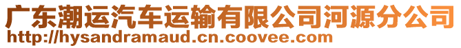 廣東潮運(yùn)汽車運(yùn)輸有限公司河源分公司