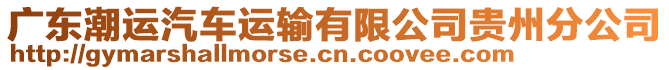 廣東潮運(yùn)汽車運(yùn)輸有限公司貴州分公司