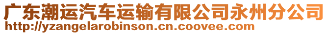 廣東潮運汽車運輸有限公司永州分公司