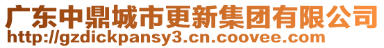 廣東中鼎城市更新集團(tuán)有限公司