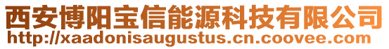 西安博陽寶信能源科技有限公司