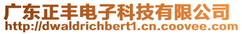 廣東正豐電子科技有限公司