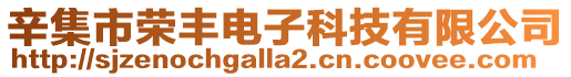 辛集市榮豐電子科技有限公司