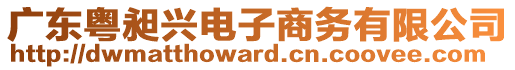 廣東粵昶興電子商務(wù)有限公司