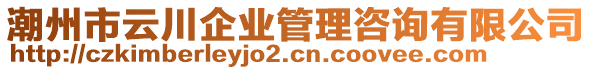 潮州市云川企業(yè)管理咨詢(xún)有限公司