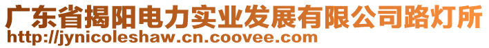 廣東省揭陽(yáng)電力實(shí)業(yè)發(fā)展有限公司路燈所