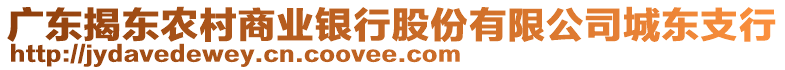 廣東揭東農(nóng)村商業(yè)銀行股份有限公司城東支行