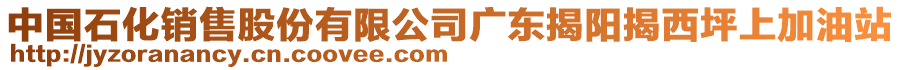 中國(guó)石化銷售股份有限公司廣東揭陽(yáng)揭西坪上加油站