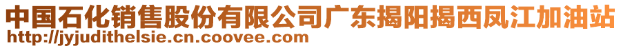 中國石化銷售股份有限公司廣東揭陽揭西鳳江加油站
