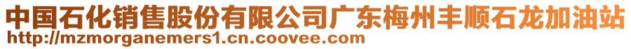 中國(guó)石化銷(xiāo)售股份有限公司廣東梅州豐順石龍加油站