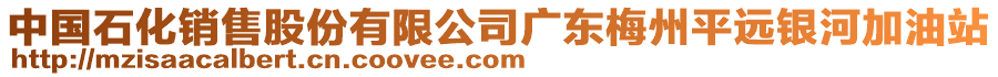 中國石化銷售股份有限公司廣東梅州平遠銀河加油站