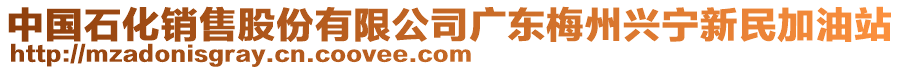 中國石化銷售股份有限公司廣東梅州興寧新民加油站