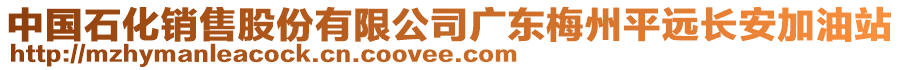 中國石化銷售股份有限公司廣東梅州平遠(yuǎn)長安加油站