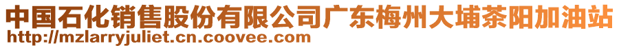 中國(guó)石化銷售股份有限公司廣東梅州大埔茶陽(yáng)加油站