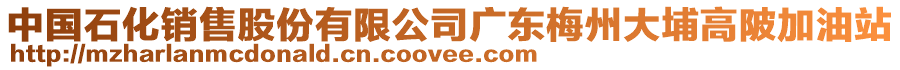 中國(guó)石化銷售股份有限公司廣東梅州大埔高陂加油站