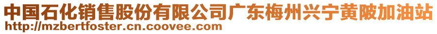 中國(guó)石化銷售股份有限公司廣東梅州興寧黃陂加油站