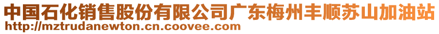 中國(guó)石化銷(xiāo)售股份有限公司廣東梅州豐順蘇山加油站