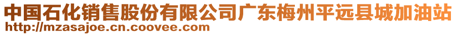 中國(guó)石化銷售股份有限公司廣東梅州平遠(yuǎn)縣城加油站