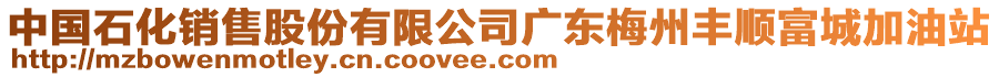 中國(guó)石化銷售股份有限公司廣東梅州豐順富城加油站