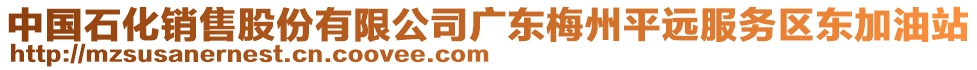 中國(guó)石化銷售股份有限公司廣東梅州平遠(yuǎn)服務(wù)區(qū)東加油站