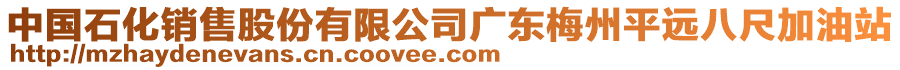 中國(guó)石化銷售股份有限公司廣東梅州平遠(yuǎn)八尺加油站