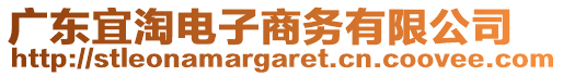 廣東宜淘電子商務(wù)有限公司