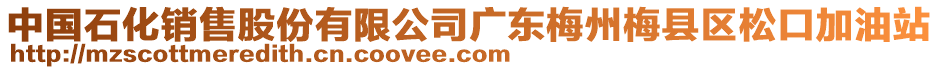 中國石化銷售股份有限公司廣東梅州梅縣區(qū)松口加油站