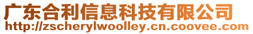 廣東合利信息科技有限公司