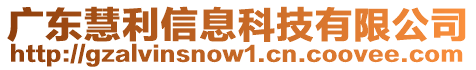 廣東慧利信息科技有限公司