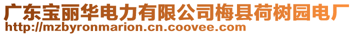 廣東寶麗華電力有限公司梅縣荷樹園電廠