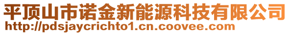 平頂山市諾金新能源科技有限公司