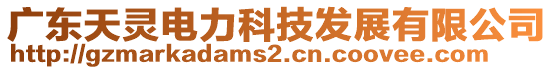 廣東天靈電力科技發(fā)展有限公司